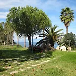 Baia Arcile Бруколи