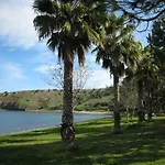 Baia Arcile Бруколи