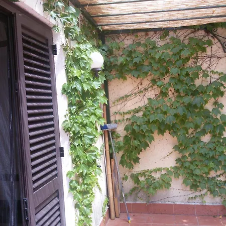 Apartment Baia Arcile *